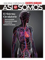 Así Somos - El cuerpo humano